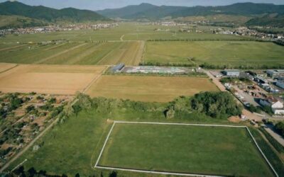 Les Echos 13/08/2025 : nouvelles techniques de dépollution